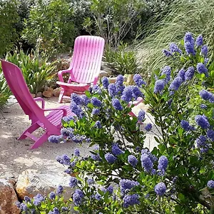 La Colombe Bed & Breakfast